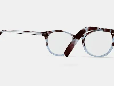 Virginia Eyeglasses in Icecap Tortoise Fade 3D model
