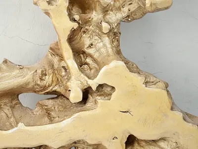 Root on Stand 2 3D model