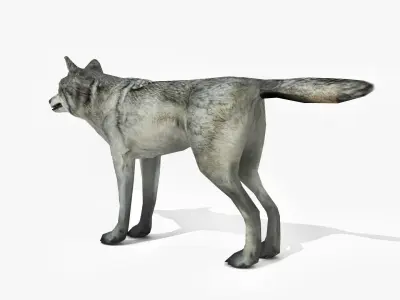 Wolf - Animated Low-poly 3D model
