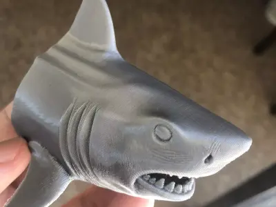 shark 3D print model buy
