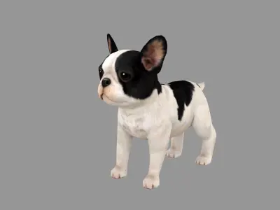 Cartoon pet puppy - French Bull Dog - baby dog  Low-poly 3D model