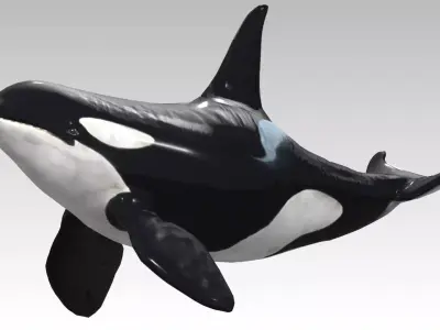 Orca Whale Low-poly 3D model