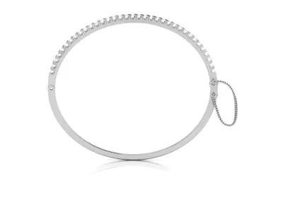 Women Bangle 3dm STL OBJ FBX Render Details 3D print model