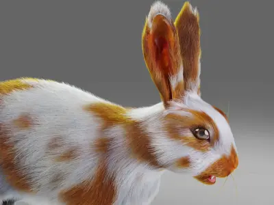 Fur Rabbit Gray V03 Rigged Low-poly 3D model