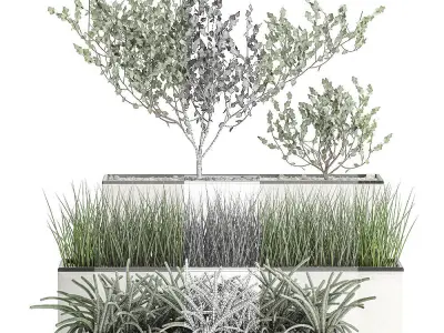 Decorative plants for the interior in a white flowerpot 585 3D model