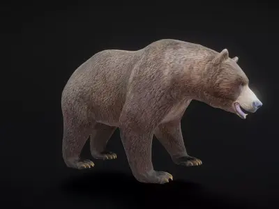 91 complete animated bears Low-poly 3D model