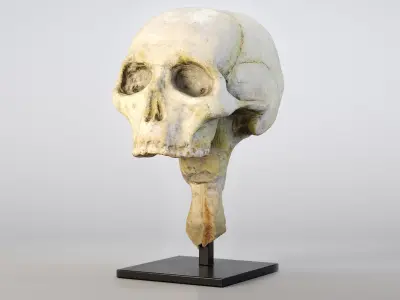 Mummy Skull Low-poly 3D model