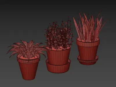 Terracotta Pots Plants 3D model
