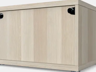 BESTA Shelf unit with glass door 4 3D model