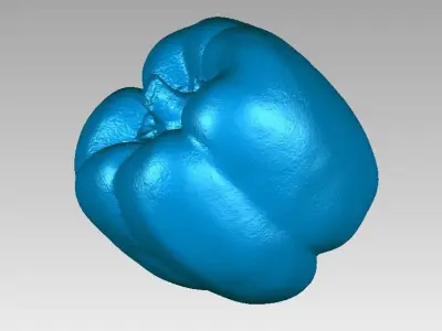 Real Paprika Chilli High Detail 3D Scan 3D print model