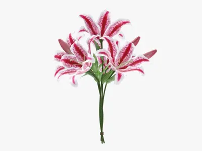 Lily flowers bouquet 3D model