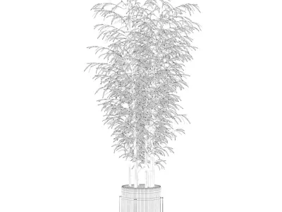 Bamboo in modern flower pot 3D model