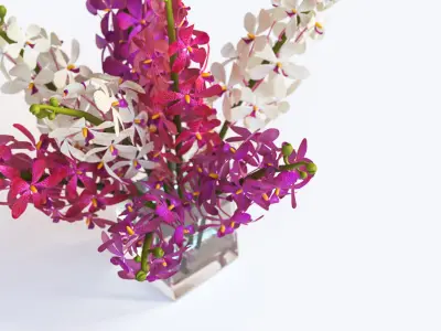 Pink and white flower in a vase 3D model