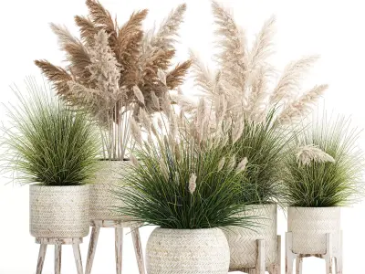 Ornamental plants in white rattan baskets 1080 3D model