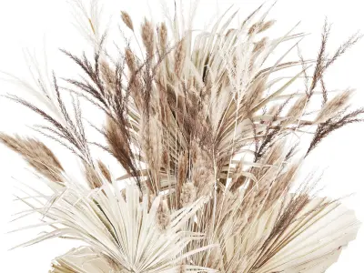 Bouquet Dried Flowers From White Pampas Branches vase 555 3D model
