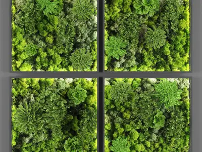 Collection of Vertical garden - 20