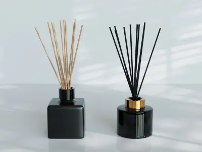 Room Fragrance Reed Diffusers 3D model