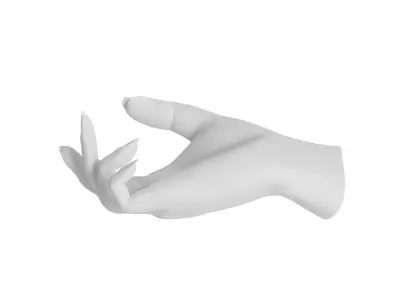 Hand shaped Bowl 3D model