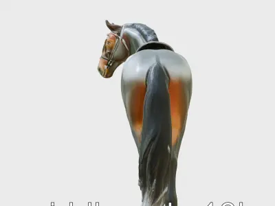 Elegant Black Saddlebred Horse Model with Saddle Low-poly 3D model