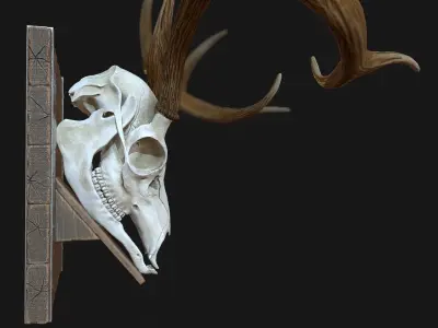 Deer Antler  Low-poly 3D model