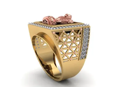 The Ashoka Ring 3D print model