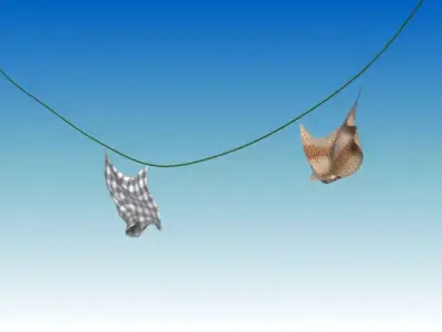 cloth simulated Low-poly 3D model