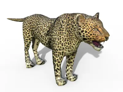 Leopard game ready Low-poly 3D model