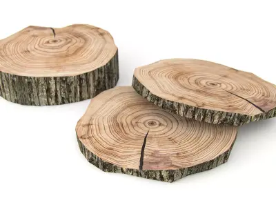 Wooden Stump Free low-poly 3D model