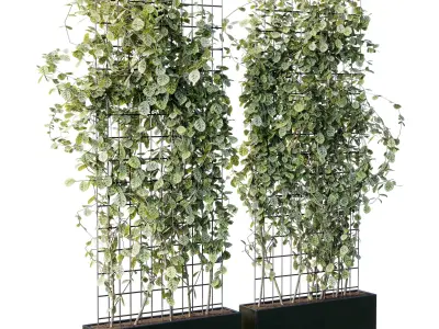Plants set partition in metal frame 103 - Vertical graden ivy 3D model