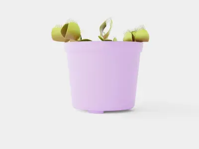 Dionaea muscipula Low-poly 3D model