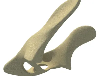 Anatomic Animal Pelvis 3D model