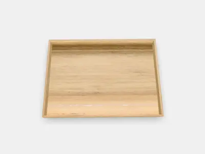 OSTBIT Tray Low-poly 3D model