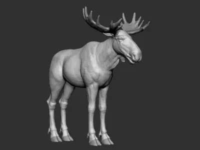 Moose low poly model Low-poly 3D model