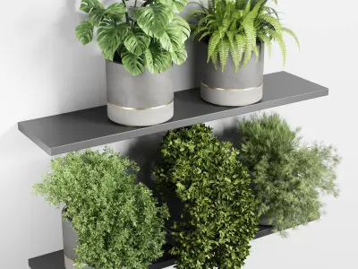 indoor outdoor plant vase concrete plant pot on shelves 3D model