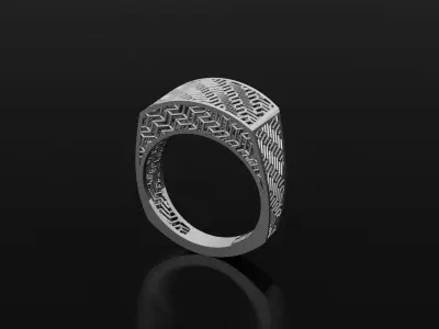 ring fusion 3D model