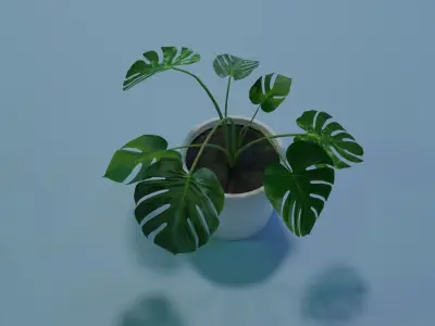 Monstera indoor plant PBR Ready for Unreal Engine 5 Low-poly 3D model