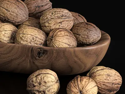 Walnut set walnuts in bowl 3D model