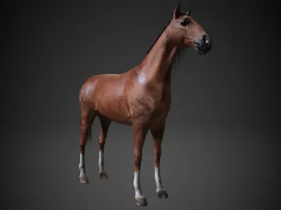 Horse Low-poly 3D model 9