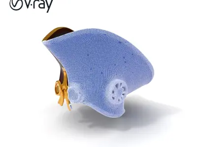 Historical Pirate Hat Model Pack Low-poly 3D model
