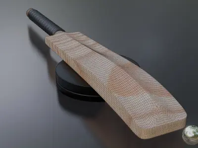 Cricket bat  Low-poly 3D model