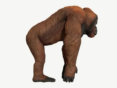 Bornean Orangutan Male Low-poly 3D model