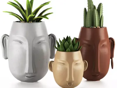 decore set three concrete planters with cactus plants 3D model