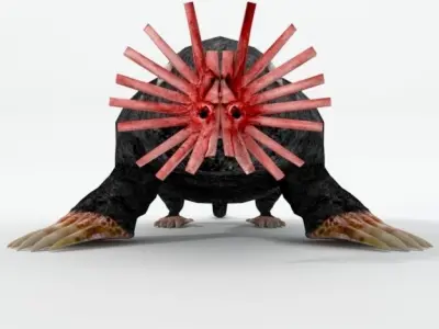 Star- Nosed Mole 3D model