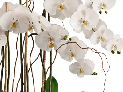 Flower In Vase  23 3D model