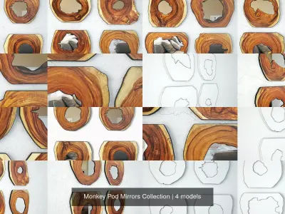 Monkey Pod Mirrors Collection