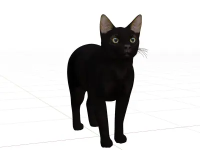Bombay Cat Low-poly 3D model