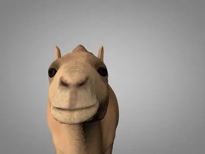 Camel Low-poly 3D model 5