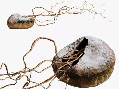 Decorative vase THREE by Tala Vovk 3D model