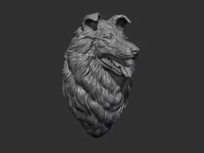 Collie Dog head 3D print model