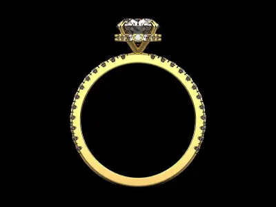 Oval Cut Ring N46  3D print model